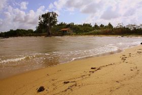 beach at Monkey River, Belize – Best Places In The World To Retire – International Living